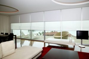 Dual Roller Blinds indesignblinds